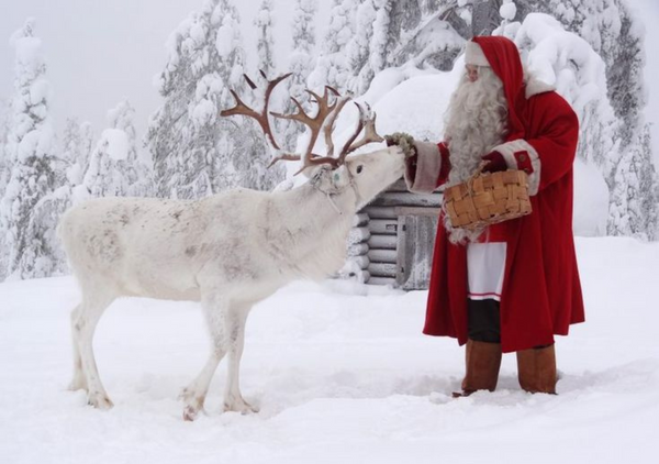 Reindeer Treats Candle